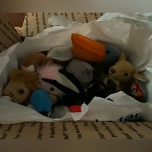 Ty Beanie Babies Mystery Box Bundle